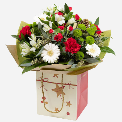 Holiday Splendour - A classic Christmas bouquet delivered in a festive gift bag, Holiday Splendour is certain to be a hit. 
